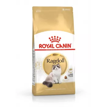 Dry cat food Royal Canin Ragdoll Adult 2 kg — chicken, 32% protein, 18% fat