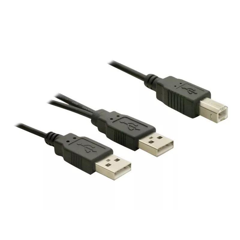 USB Cable DeLOCK USB-B/USB-A Cable 1 m Black