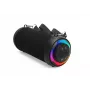 Portable Speaker Denver BTG-213 Black