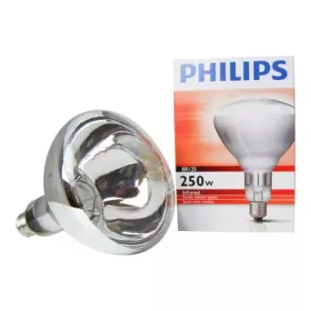 Philips 60800122044 incandescent bulb 250 W