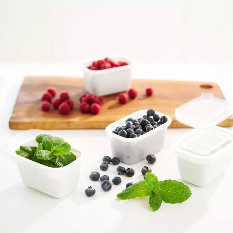 ROTHO Freeze - freezer container - 6x250ml