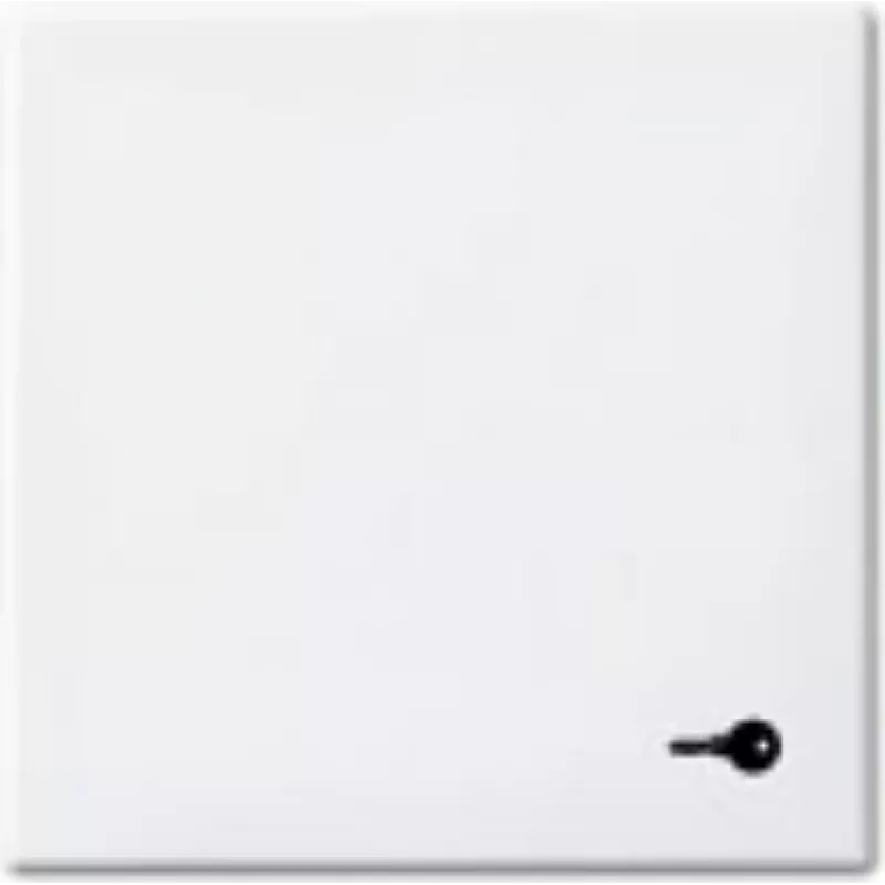 Busch-jaeger 2CKA001731A2012 Networking Device White