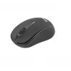 Wireless Mouse Tellur Basic Mini Black Interface