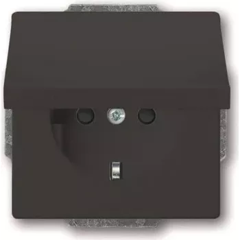 Busch-Jaeger SCHUKO Socket Insert Anthracite 20 EUKB-81 (2CKA002018A1517)