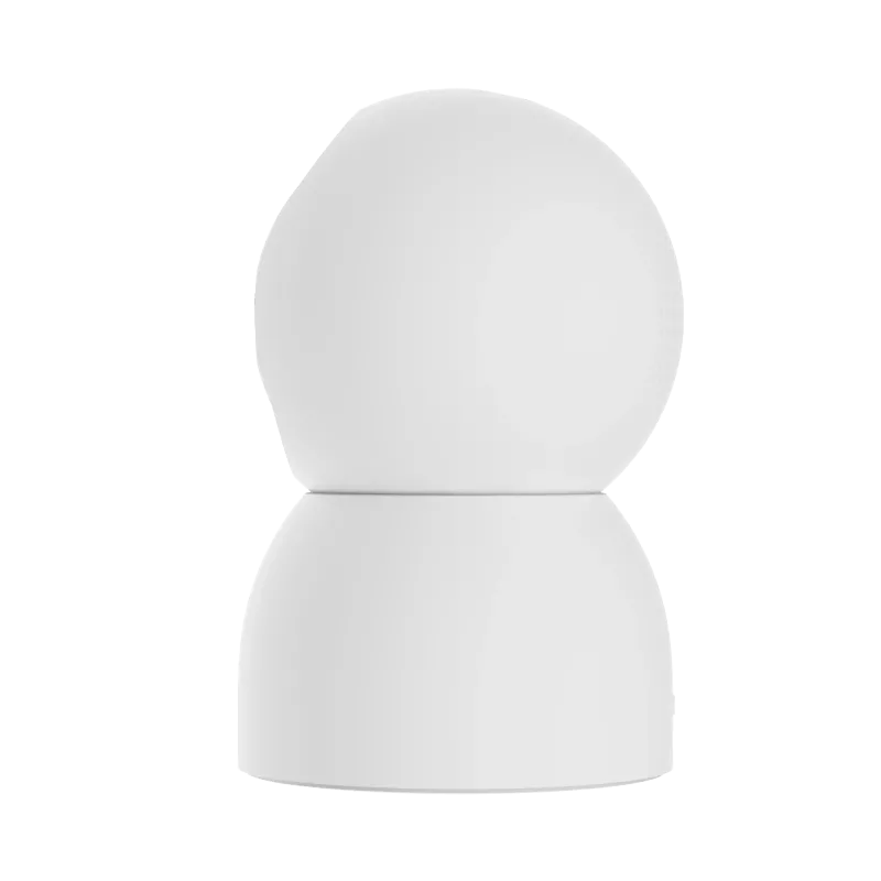 IP security camera Xiaomi Smart Camera C500 — Indoor spherical 3200×1800, 110° FOV, 360° pan, 110° tilt, night vision 10 m