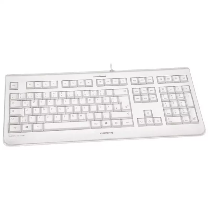 CHERRY KC 1068 keyboard USB Swiss Grey