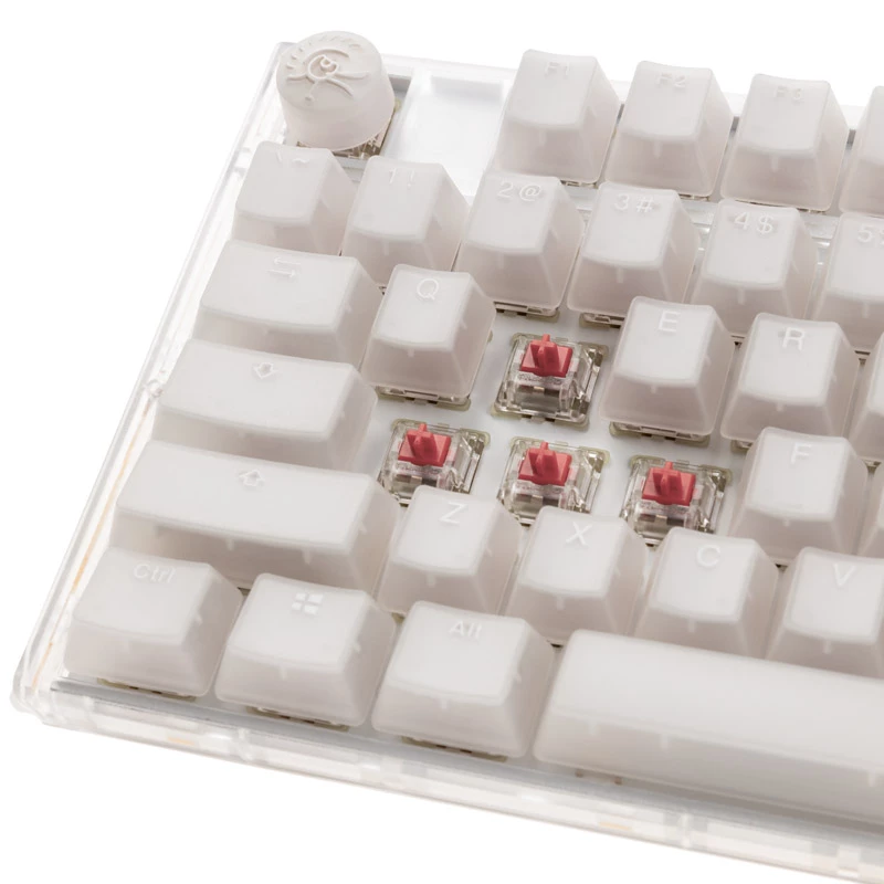 Ducky One 3 TKL keyboard Gaming USB QWERTY English White