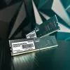 Desktop/Server Memory PATRIOT Signature 16 GB DDR5 4800 MHz ECC 288-pin UDIMM 1.1 V