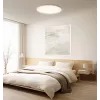 Intelligent Xiaomi Ceiling Light D30 WiFi 30W