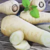Apte Parsley Half-Long tape 6m — parsley variety, late, high-yield