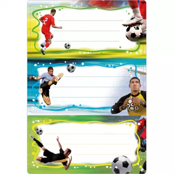 Self-adhesive label HERMA 5588 Rectangle Permanent Multicolour 6 pcs