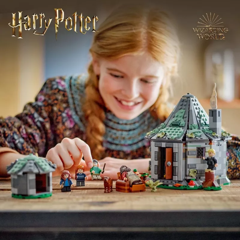 LEGO HARRY POTTER 76428 Hagrid's Hut - An Unexpected Visit