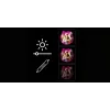 LED Neon Mirror Light MANTA MASNL130PK Style Neon Lights BEAUTY, pink accent, decorative mirror illumination