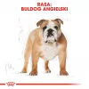 Royal Canin Bulldog Adult Dry Dog Food 12 kg