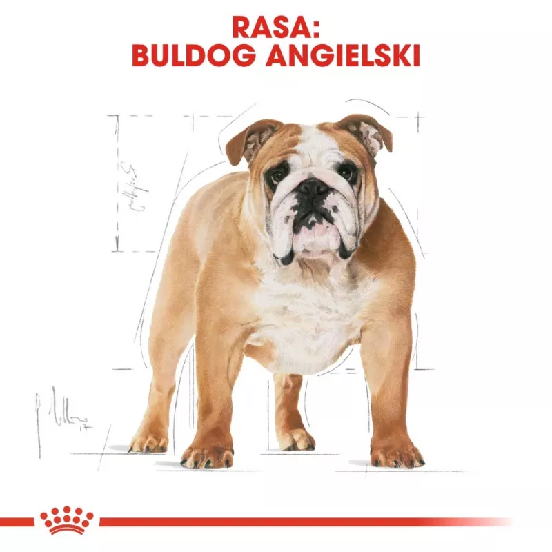 Royal Canin Bulldog Adult Dry Dog Food 12 kg