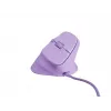 NATEC Crake 2 Pro mouse Universal Right-hand USB Type-A Optical 12800 DPI