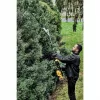 DeWALT Pole Hedge Attachment