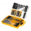 DeWalt set of 100 Pozi screws — fasteners kit, assorted sizes for wood and metal applications