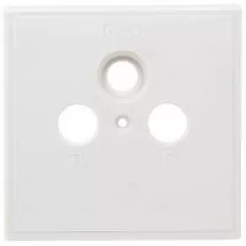 Axing SZU 2-01 Sockets-Abdeckblende - Dimensions 80x80 mm Suitable for BSD 963-xx (SZU 2-01)