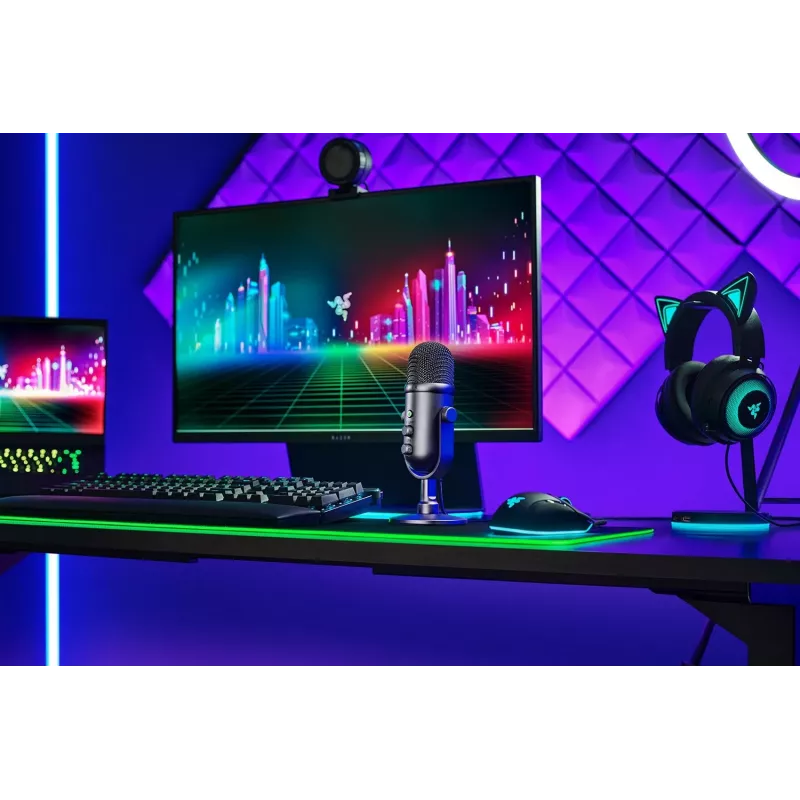 Studio microphone Razer SEIREN V2 PRO