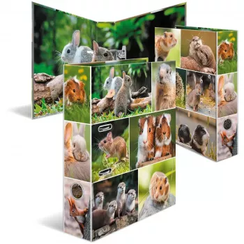 HERMA 19252 ring binder A4 Multicolour D-ring Storage