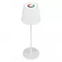 LED Table Lamp RealPower TableLight 360 RGB 3W IP44 1800mAh