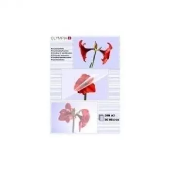 1x25 Olympia Laminating pouches DIN A3 80 micron 9180
