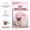 Dry cat food Royal Canin Mother & Babycat 2 kg — chicken, for pregnant, lactating queens and kittens (Junior)