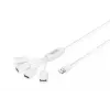 Delock USB-Adapter - USB Typ A (W) zu 24 pin USB-C (M)