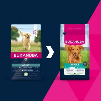 Dry dog food EUKANUBA Adult Large Breed Lamb & Rice 12 kg – complete dry feed for adult large and giant dogs