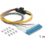 Fiber optic cable DELOCK 12x LC-UPC simplex trunk to 12x open cable end, singlemode, 1 m