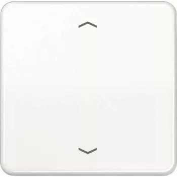 JUNG CD 1700 P WW control button Standard arrow symbols CD1700PWW