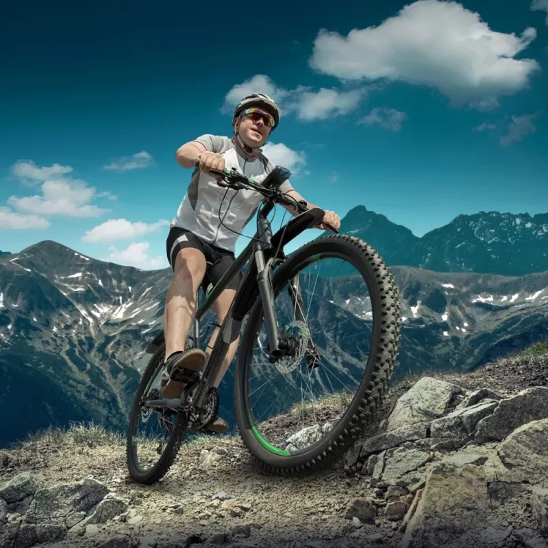 BIKEFLEX Bike Mount (Black)
