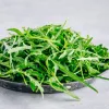 Seeds on Tape — Apte Rukola (Eruca sativa) 6 m for Home and Garden Cultivation