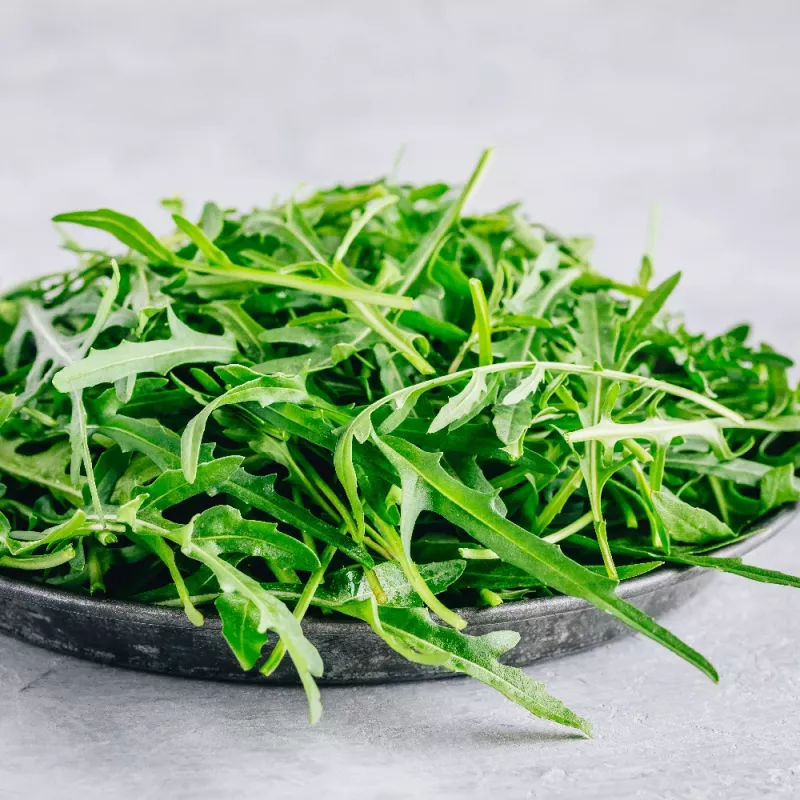 Seeds on Tape — Apte Rukola (Eruca sativa) 6 m for Home and Garden Cultivation