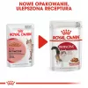 Wet cat food Royal Canin Instinctive 12 x 85 g — poultry, adult, urinary health support