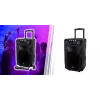 Portable karaoke speaker MANTA SPK5021PRO 20W, 12 inch woofer, 80W RMS, Bluetooth, battery up to 5h, SD/USB, mic & guitar inputs