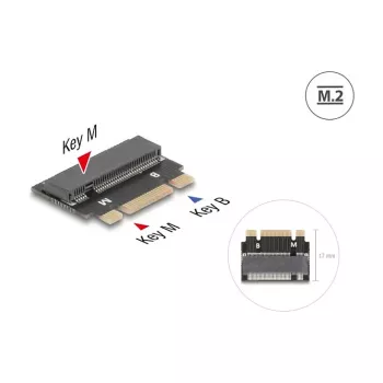 DeLOCK 64342 Internal M.2 Adapter Host Interface M.2 Male Black