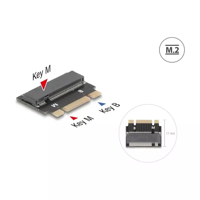 DeLOCK 64342 Internal M.2 Adapter Host Interface M.2 Male Black