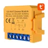 Smart socket switch Avatto DMS16-2 WiFi with energy monitoring