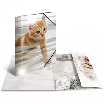 Conventional file folder HERMA 19328
