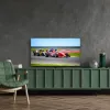 Thomson 50QG7C14 TV 127 cm (50) 4K Ultra HD Smart TV Wi-Fi Black
