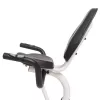 Horizontal magnetic bicycle white and green HMS R9259