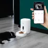 Automatic Pet Feeder Tellur TLL331461 with UltraHD Camera, 4 L, White