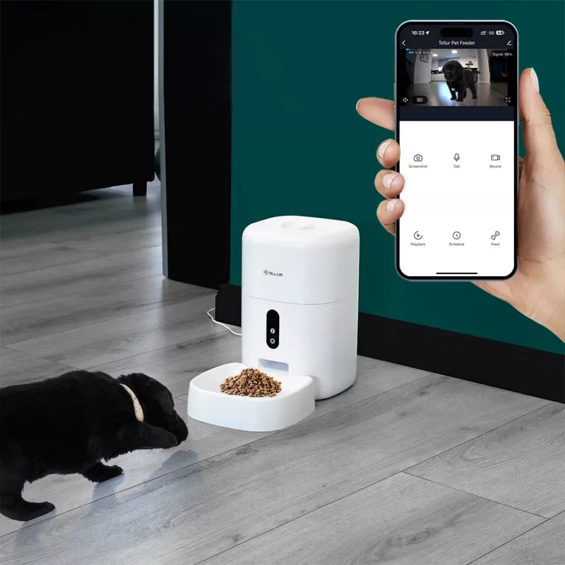 Automatic Pet Feeder Tellur TLL331461 with UltraHD Camera, 4 L, White