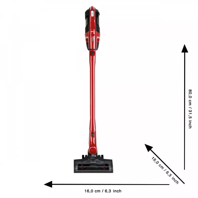 Cordless vacuum cleaner KLEIN Triflex 6845 lightweight design