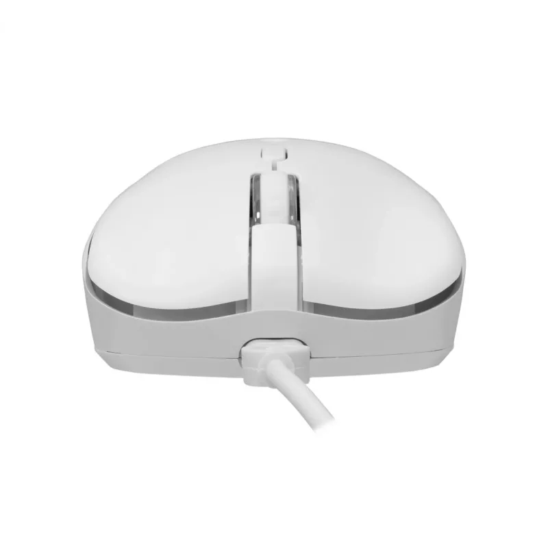Keyboard and Mouse Combo Baracuda BGC-012 Orca White — white keyboard and mouse set