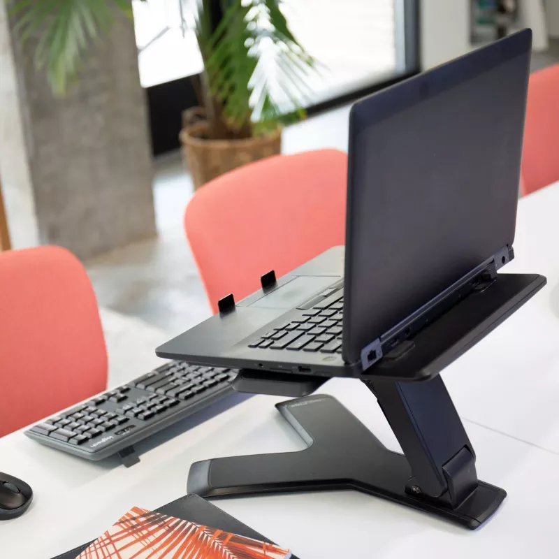 Laptop stand Ergotron Neo-Flex™ Notebook Lift Stand Black