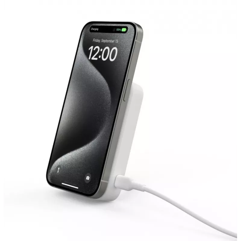 Portable Charger Belkin BoostCharge Pro 15W