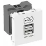 OBO USB Charger m. 2.1A Ladestrom MTG-2UC2.1 RW1 - 45 x 45 mm (6105300)